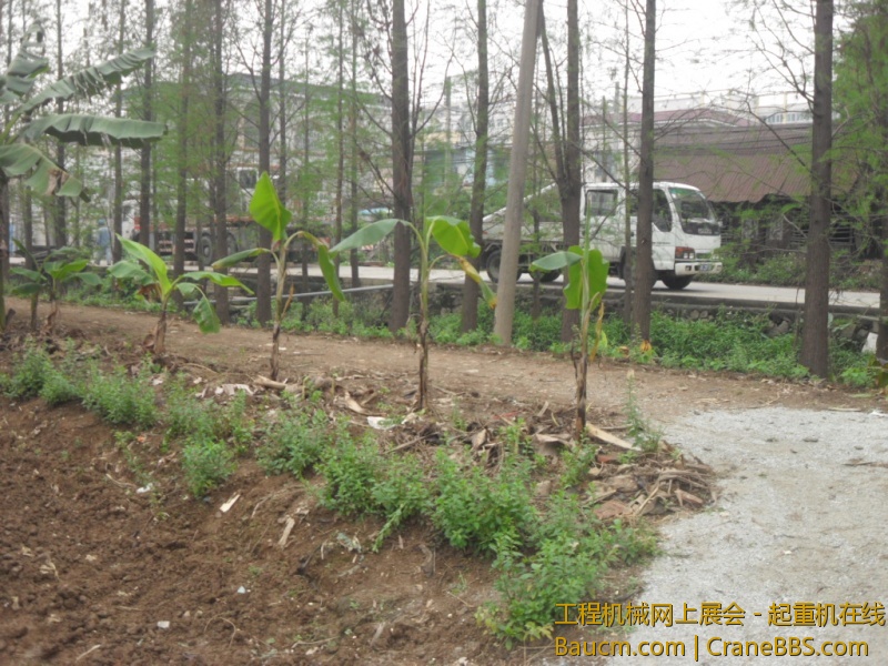 SDC10700.JPG