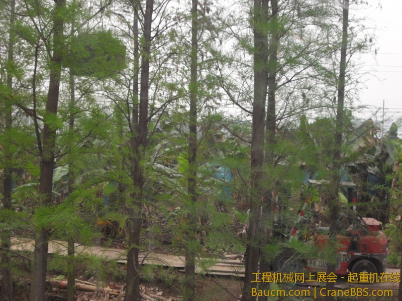SDC10692.JPG