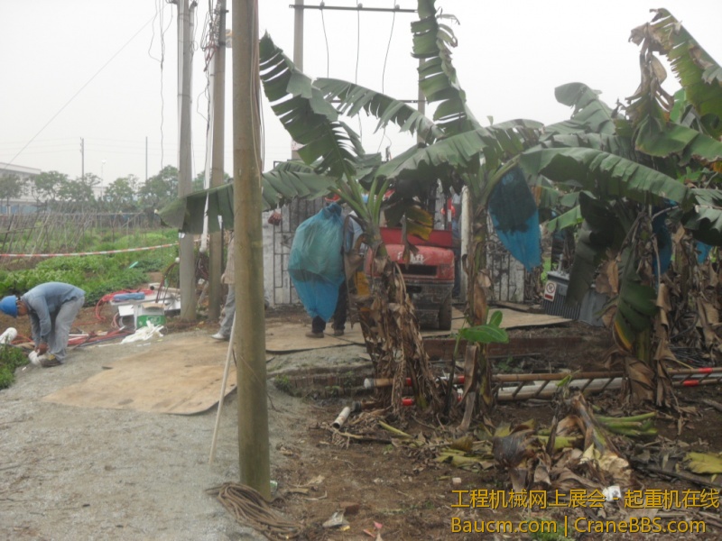 SDC10695.JPG