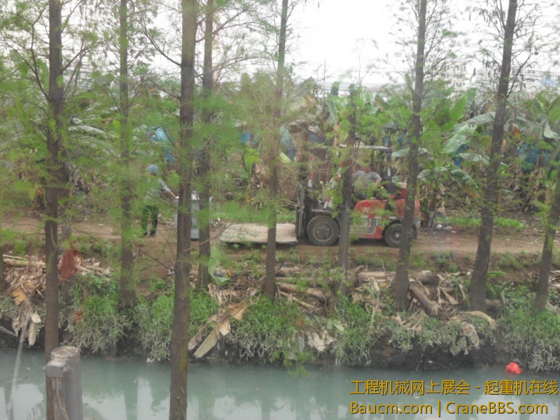 SDC10708.JPG
