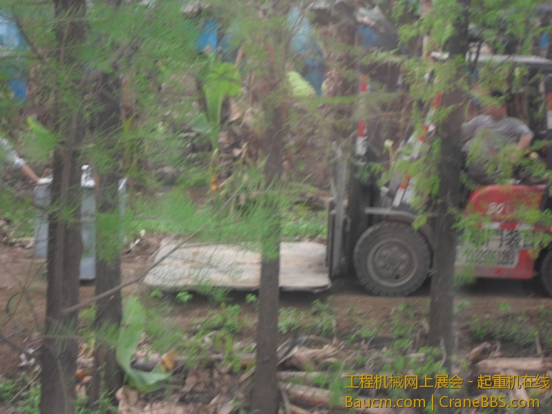 SDC10709.JPG