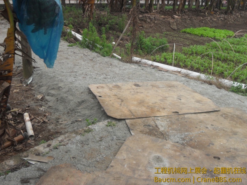 SDC10703.JPG