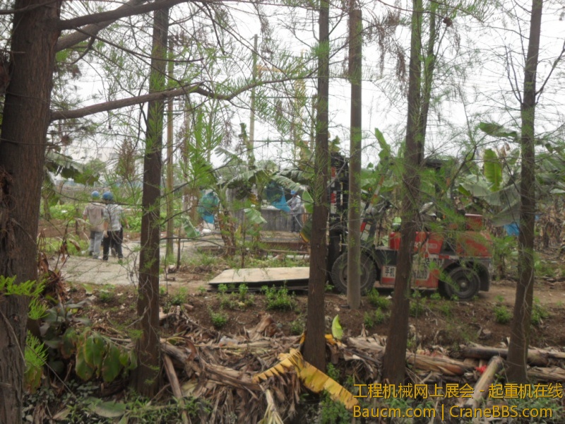 SDC10716.JPG