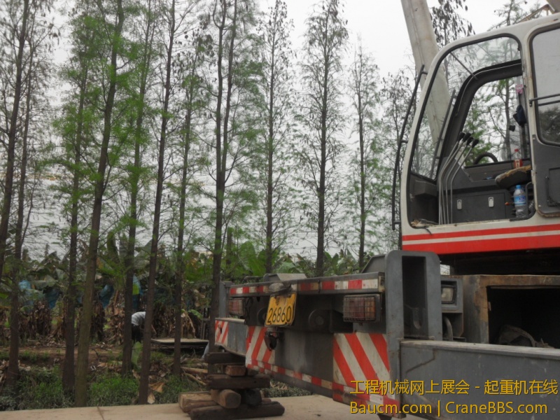 SDC10717.JPG