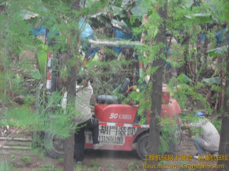 SDC10719.JPG