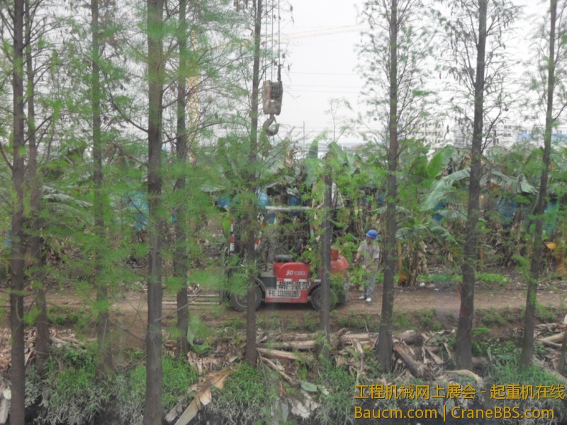 SDC10720.JPG