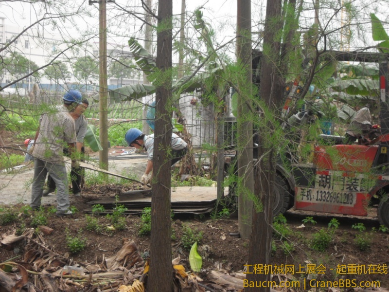 SDC10715.JPG