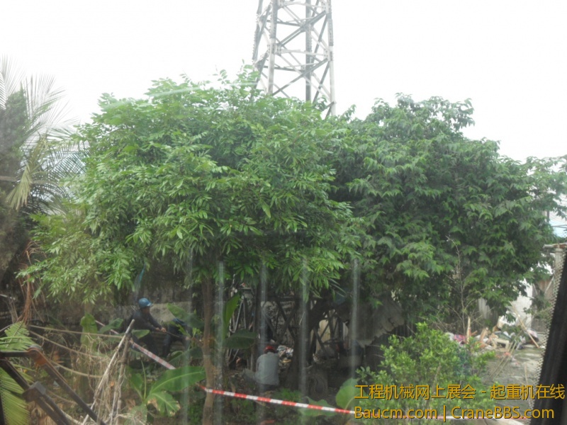 SDC10728.JPG