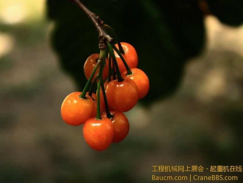 调整大小 IMG_0010.JPG