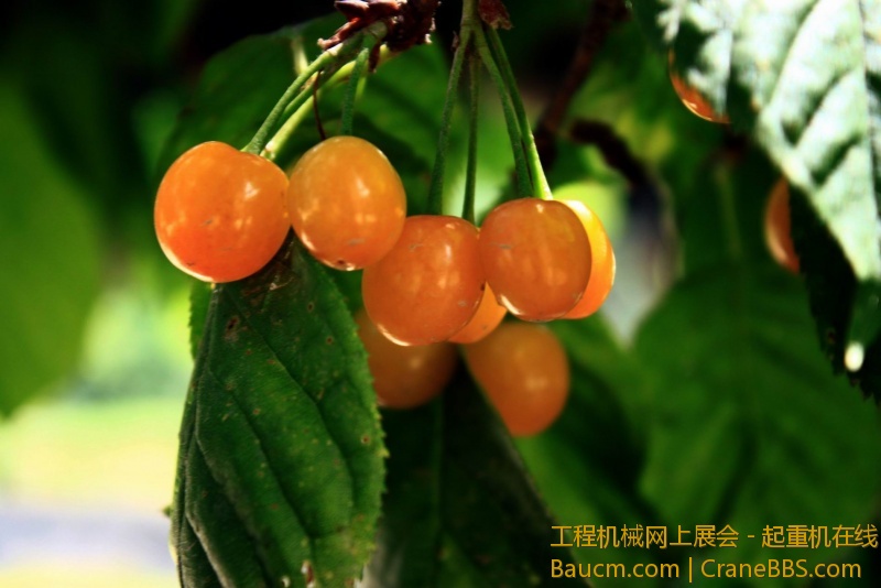 调整大小 IMG_0015.JPG