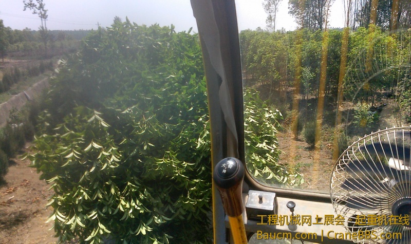 IMG0501124601.jpg