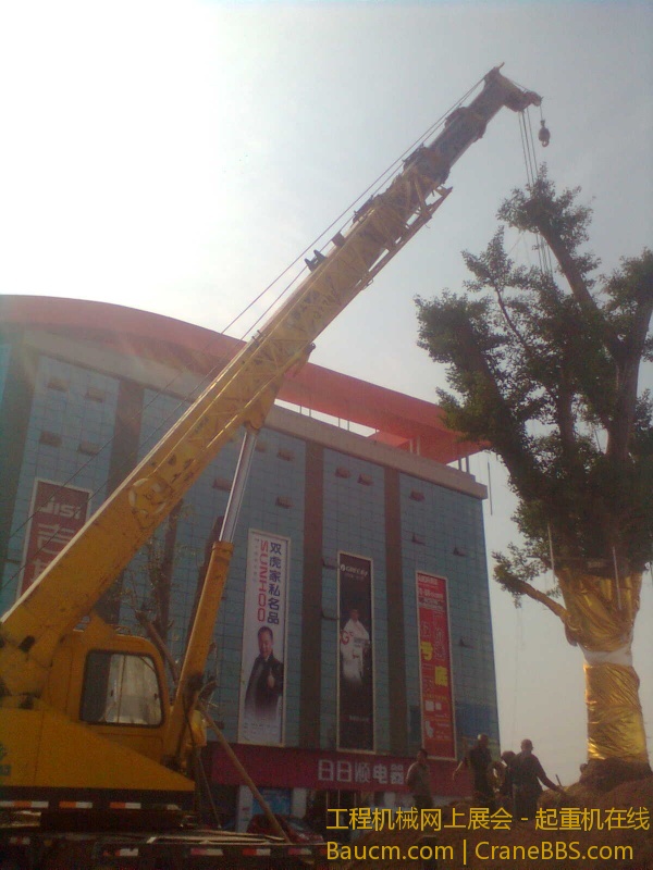 图像0507.jpg