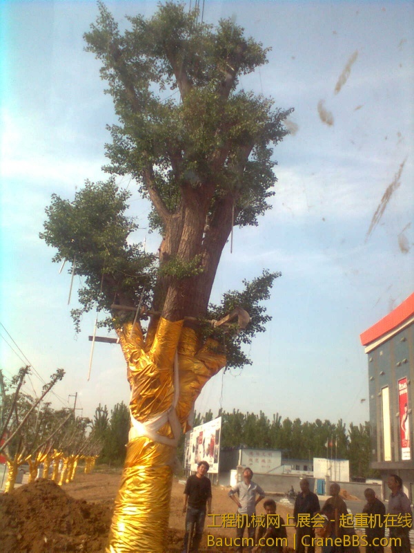 图像0525.jpg