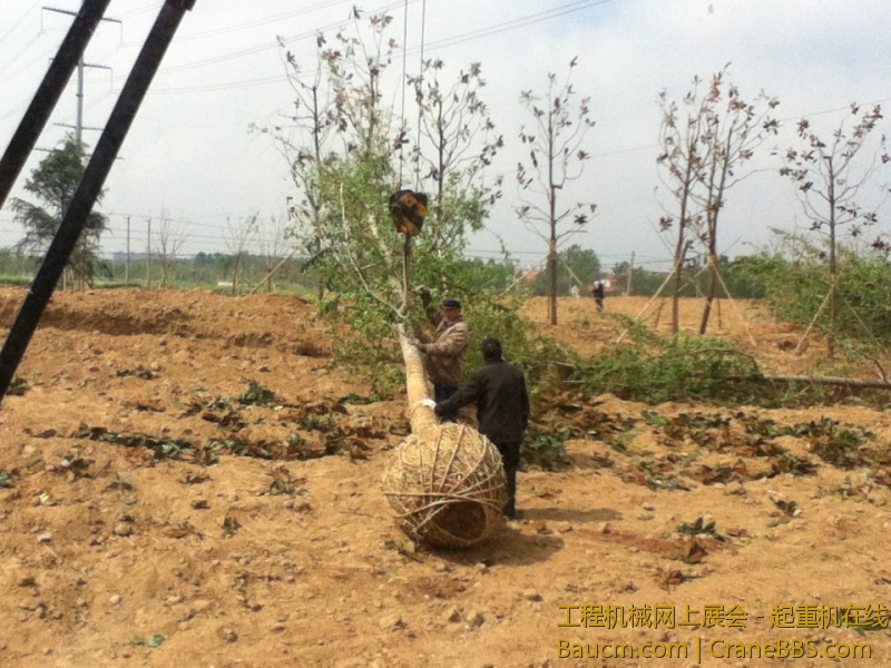 打手势的老人今年快80了,还在公园里干活,身体很健壮