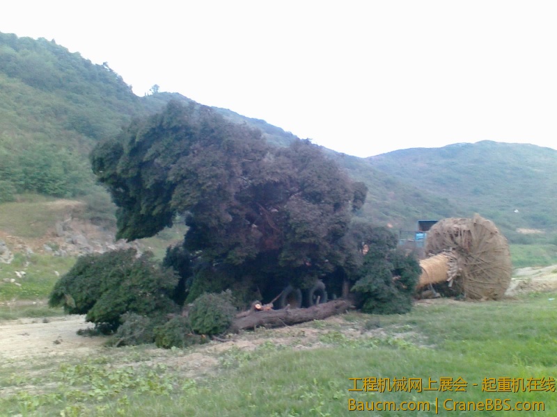 20130428436.jpg