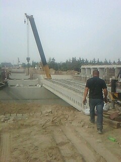 IMG1008A.jpg