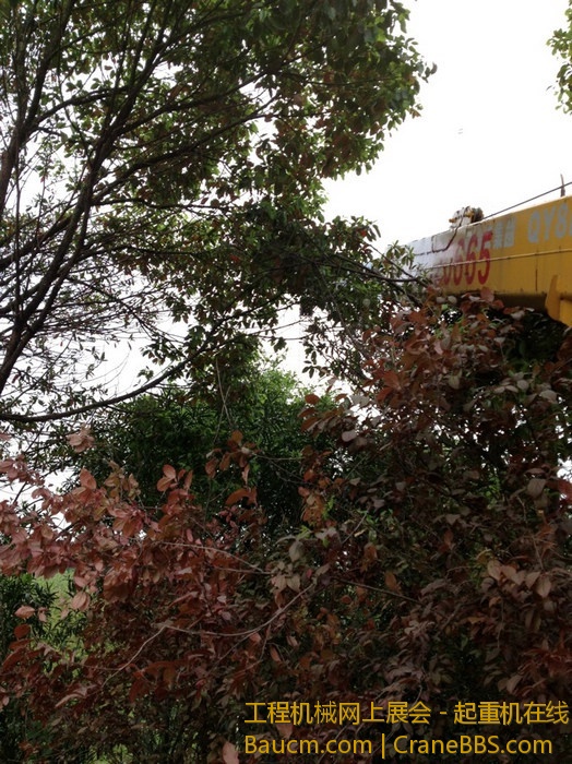 nEO_IMG_毛毛 083.jpg