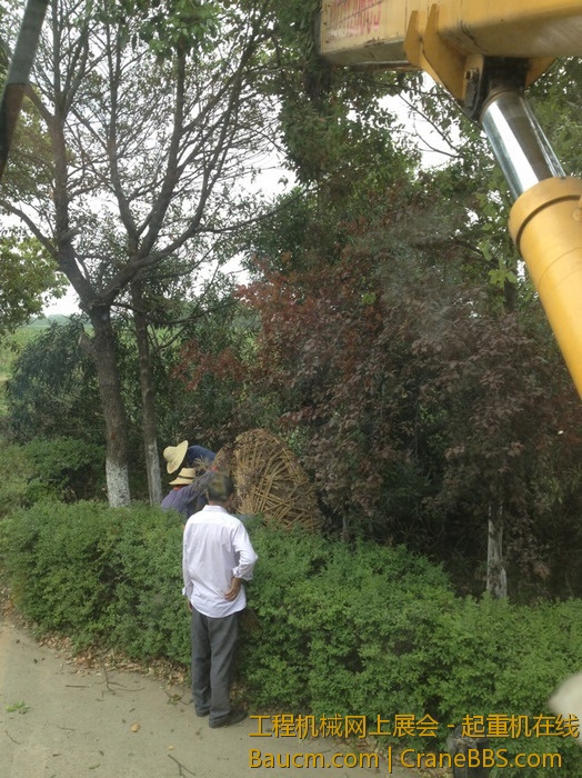 nEO_IMG_毛毛 084.jpg