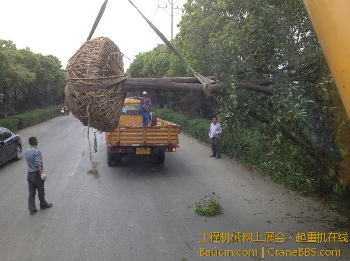 nEO_IMG_毛毛 085.jpg