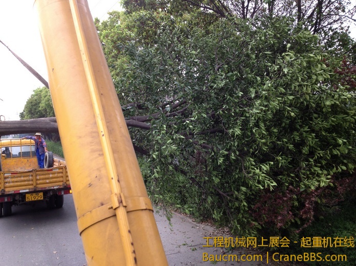 nEO_IMG_毛毛 087.jpg