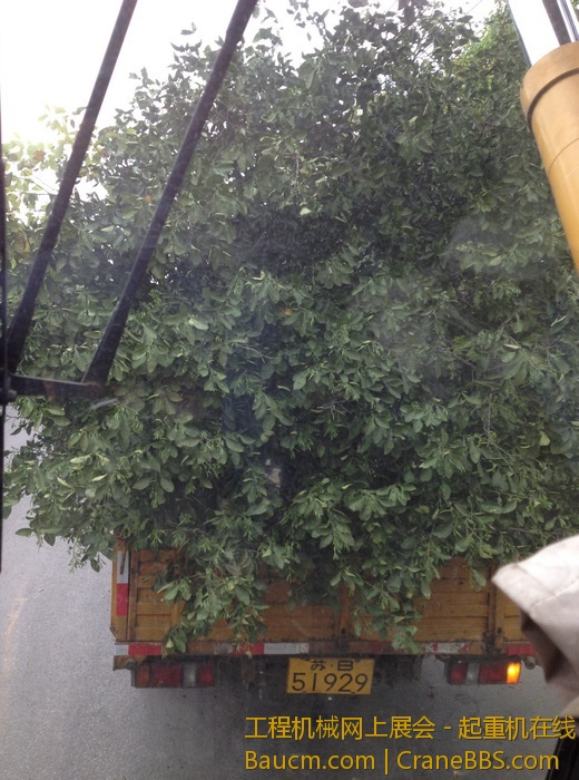 nEO_IMG_毛毛 088.jpg