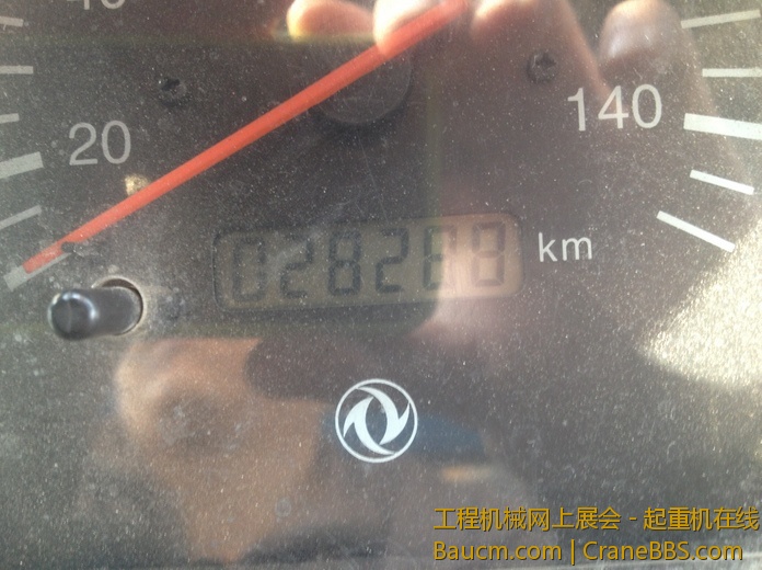 nEO_IMG_毛毛 100.jpg