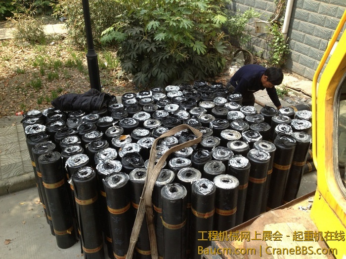 nEO_IMG_毛毛 105.jpg