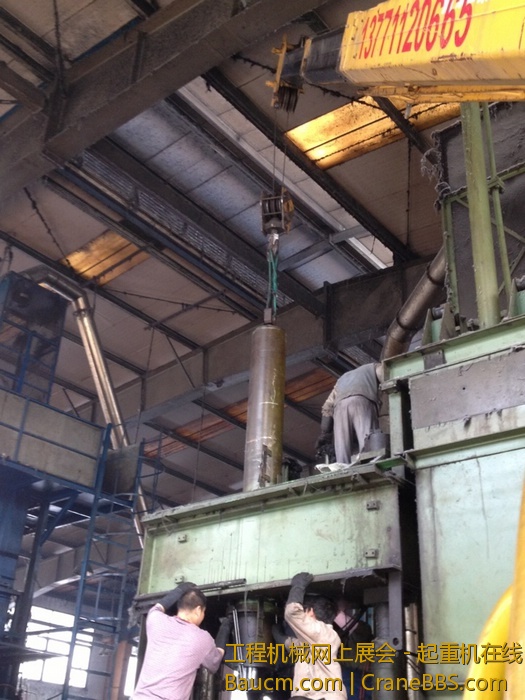 nEO_IMG_毛毛 098.jpg