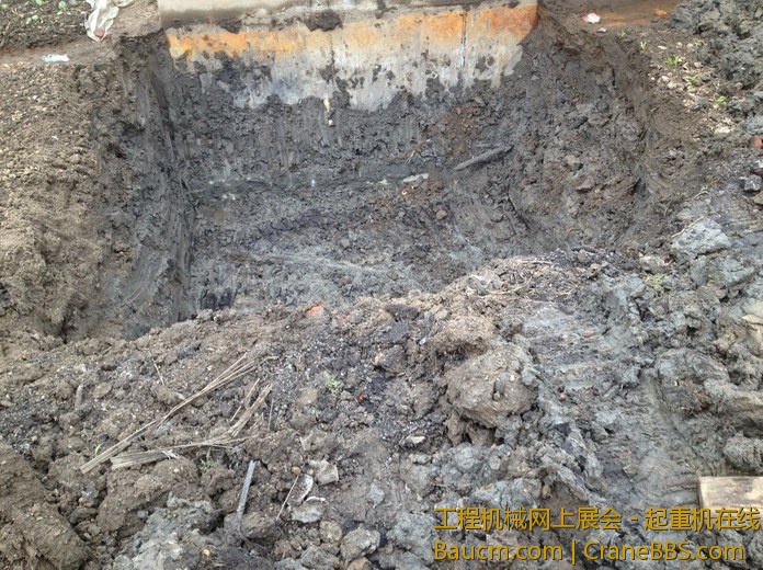 nEO_IMG_毛毛 207.jpg