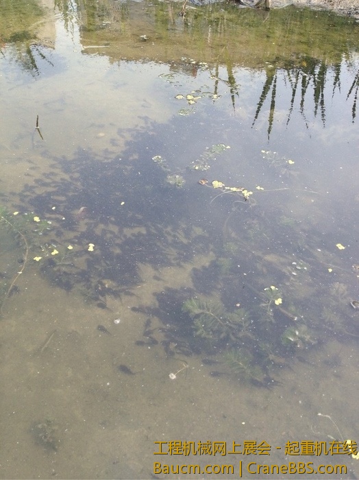 nEO_IMG_毛毛 195.jpg