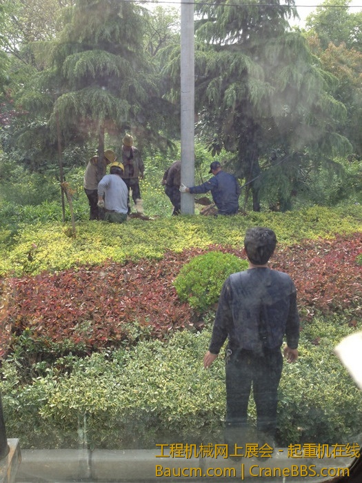 nEO_IMG_毛毛 214.jpg