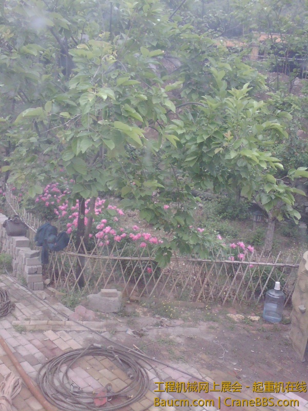 IMG_20130506_104832.jpg
