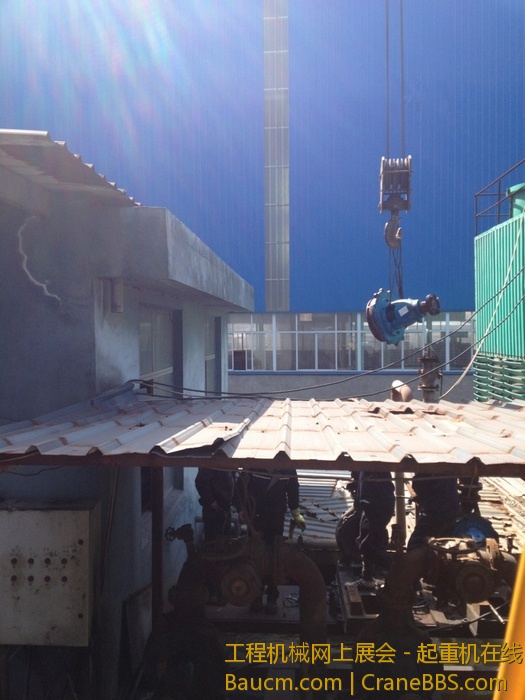 nEO_IMG_毛毛 230.jpg