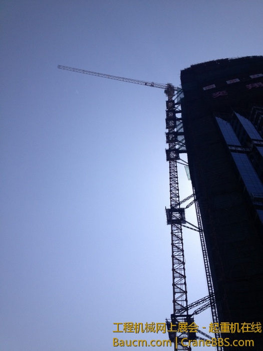 nEO_IMG_毛毛 250.jpg