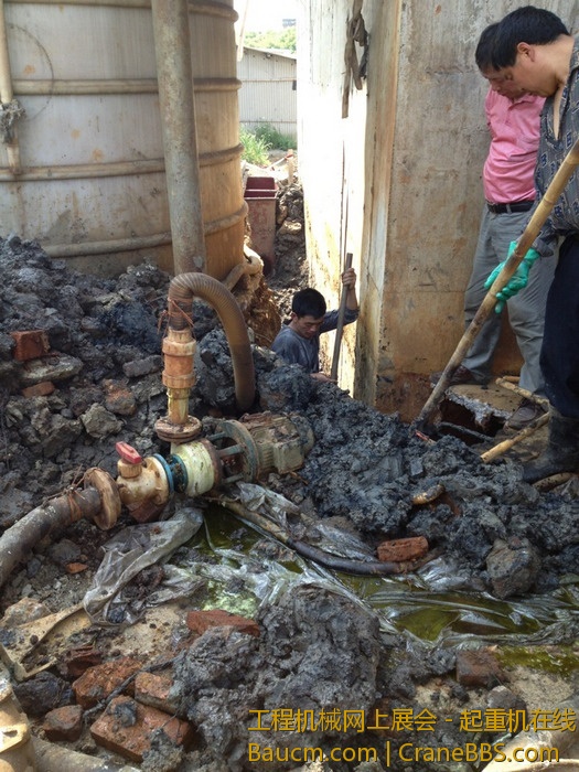 nEO_IMG_毛毛 261.jpg