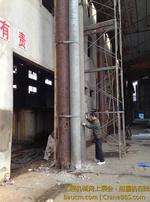 nEO_IMG_毛毛 120.jpg