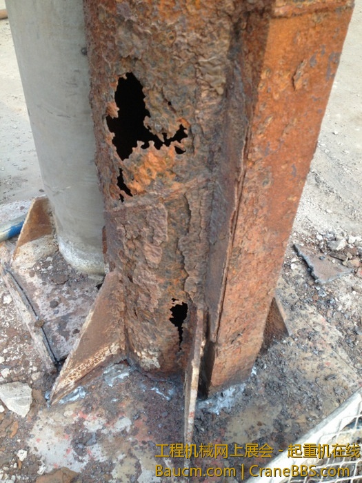 nEO_IMG_毛毛 114.jpg