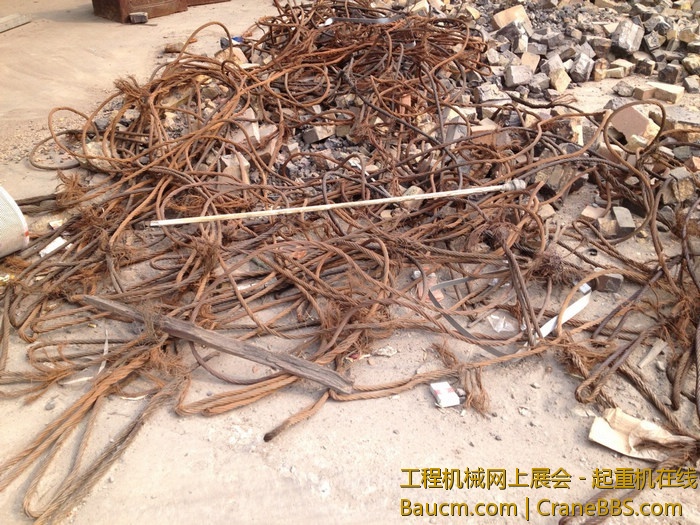 nEO_IMG_毛毛 115.jpg