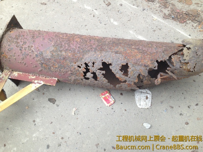 nEO_IMG_毛毛 137.jpg