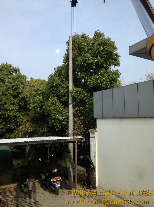 nEO_IMG_毛毛 166.jpg