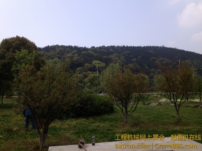 nEO_IMG_毛毛 180.jpg