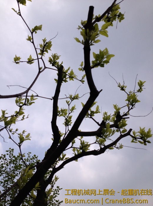 nEO_IMG_毛毛 182.jpg