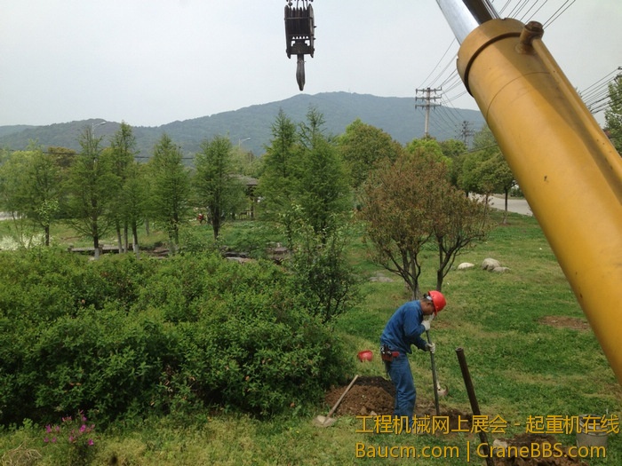 nEO_IMG_毛毛 184.jpg