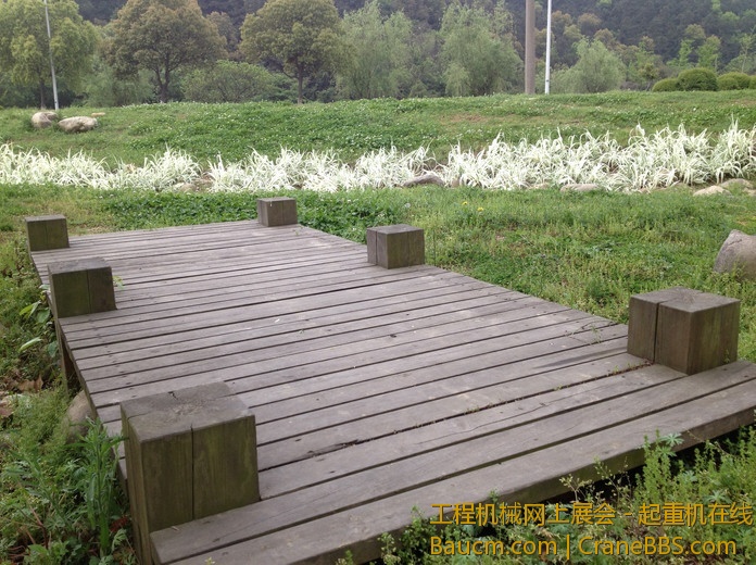 nEO_IMG_毛毛 174.jpg