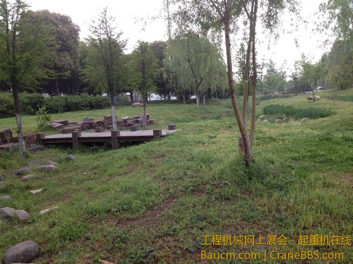 nEO_IMG_毛毛 175.jpg