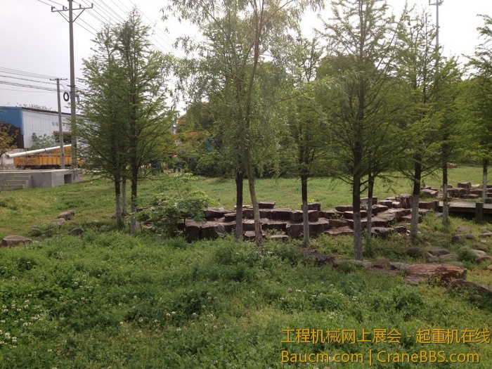 nEO_IMG_毛毛 177.jpg