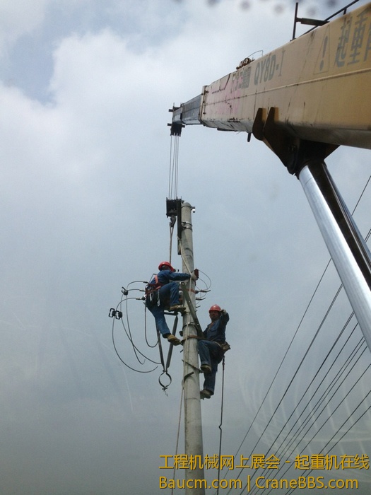 nEO_IMG_毛毛 185.jpg