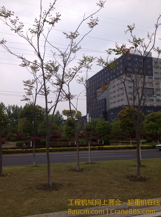 nEO_IMG_毛毛 188.jpg