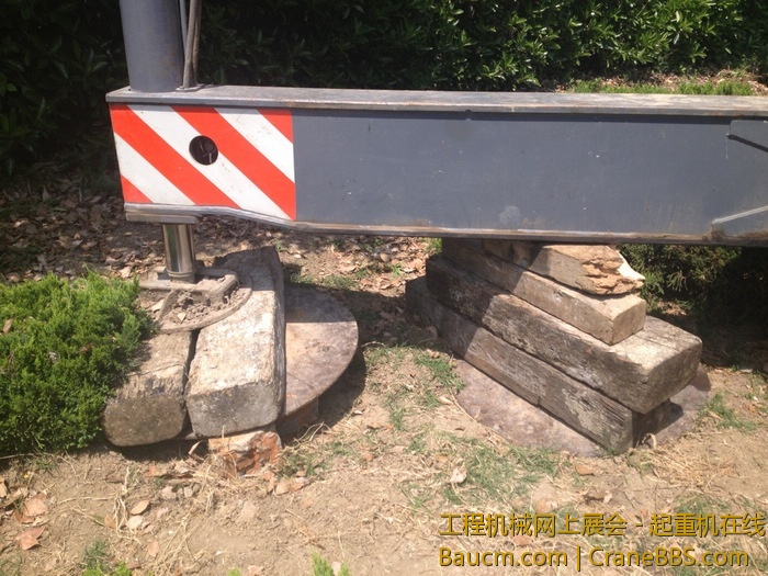 nEO_IMG_毛毛 222.jpg