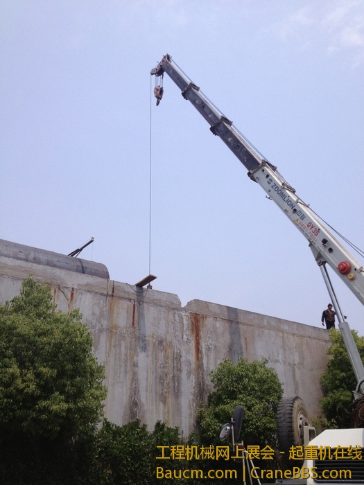 nEO_IMG_毛毛 300.jpg